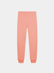 Брюки Colmar модель 9235-6WY-38 Фото