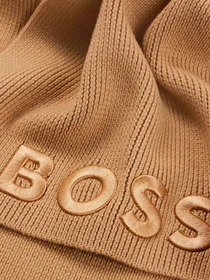 Шарфы и платки Boss модель 50497861-260 Фото