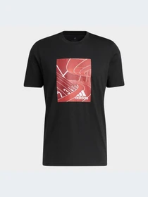 Спортивная одежда Adidas Graphics модель HK9180-KZ Фото