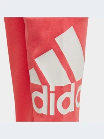 Брюки Adidas модель HE1991-KZ Фото