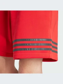Шорты Adidas модель IS2828-KZ Фото
