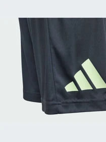 Шорты Adidas Clima модель IP3983-KZ Фото