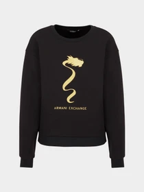 Худи и свитшоты Armani Exchange модель 3DYM40-YJU1Z-1200 Фото