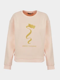Худи и свитшоты Armani Exchange модель 3DYM40-YJU1Z-14BD Фото