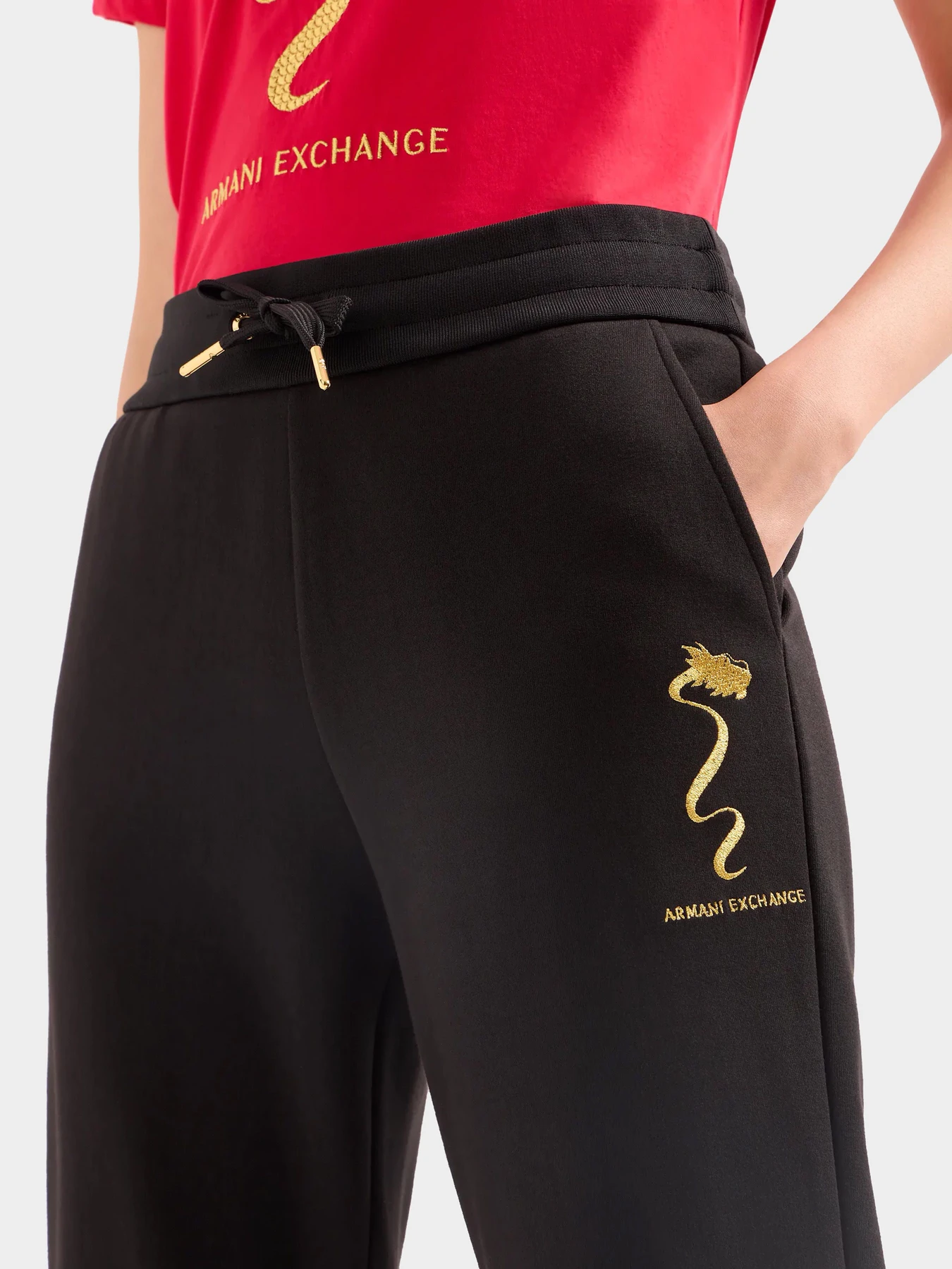 Брюки Armani Exchange модель 3DYP40-YJU1Z-1200 Брюки Armani Exchange модель 3DYP40-YJU1Z-1200 Фото