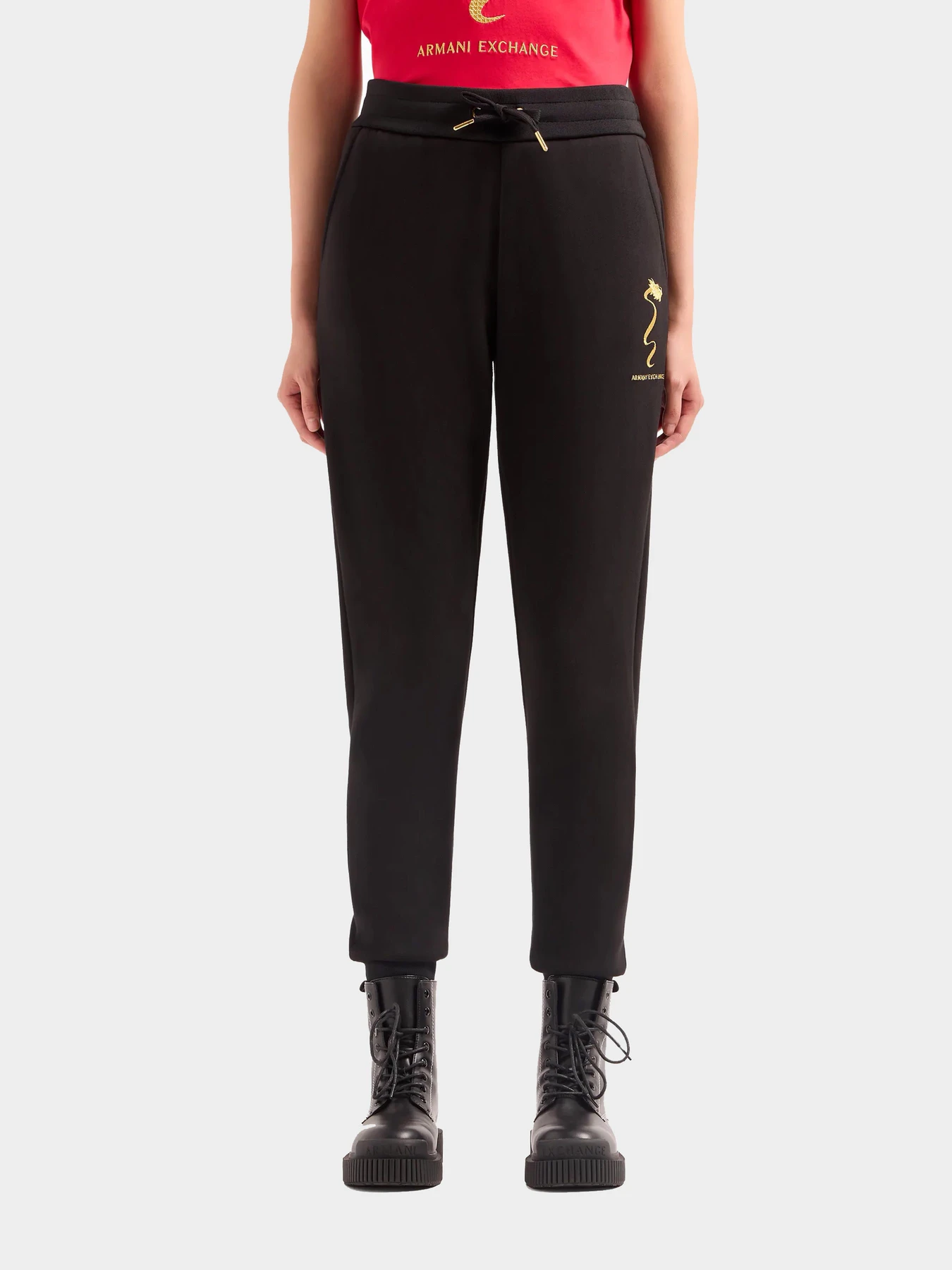 Брюки Armani Exchange модель 3DYP40-YJU1Z-1200 Брюки Armani Exchange модель 3DYP40-YJU1Z-1200 Фото