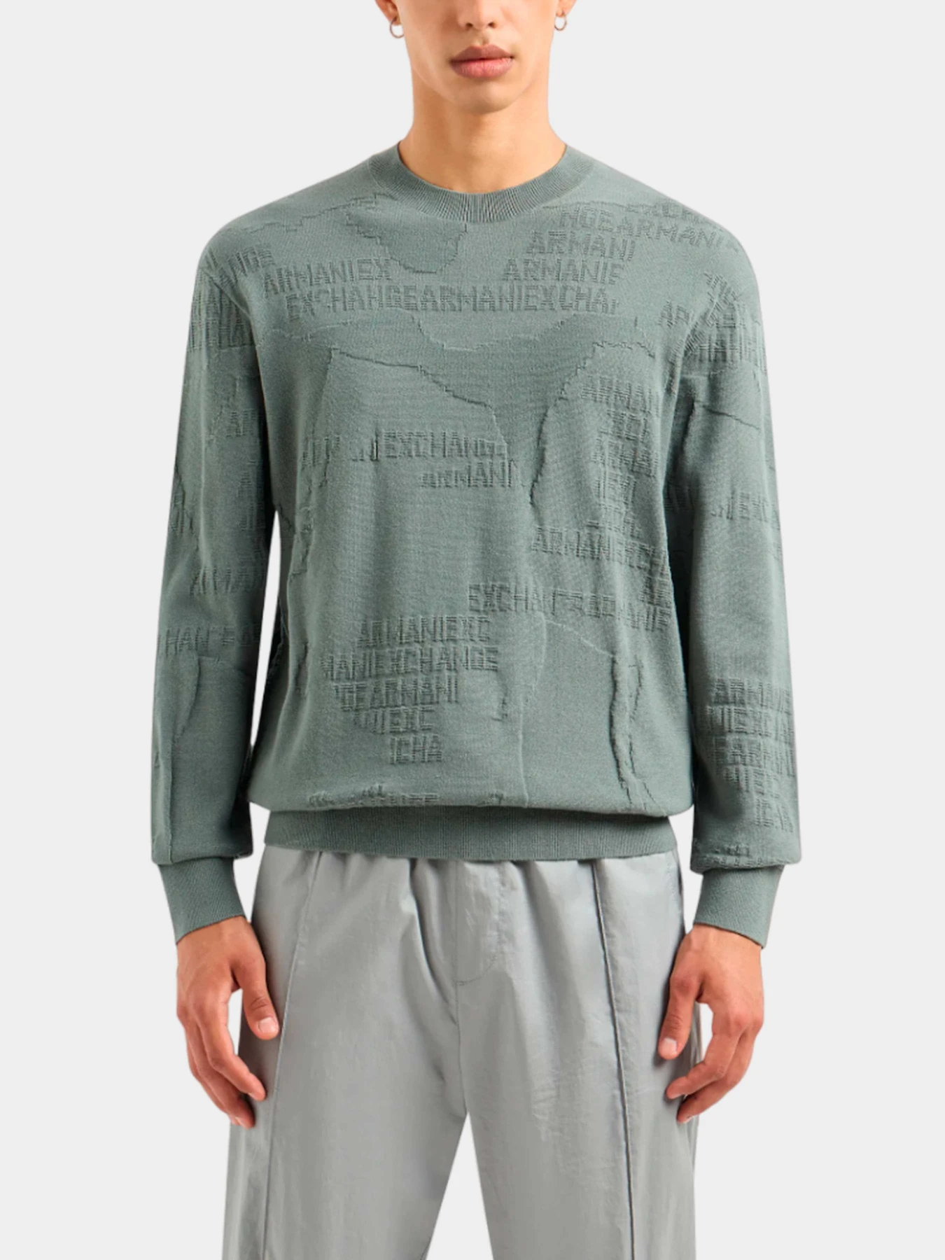 Худи и свитшоты Armani Exchange модель 3DZM6J-ZMQ7Z-5811 Худи и свитшоты Armani Exchange модель 3DZM6J-ZMQ7Z-5811 Фото