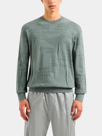 Худи и свитшоты Armani Exchange модель 3DZM6J-ZMQ7Z-5811 Фото