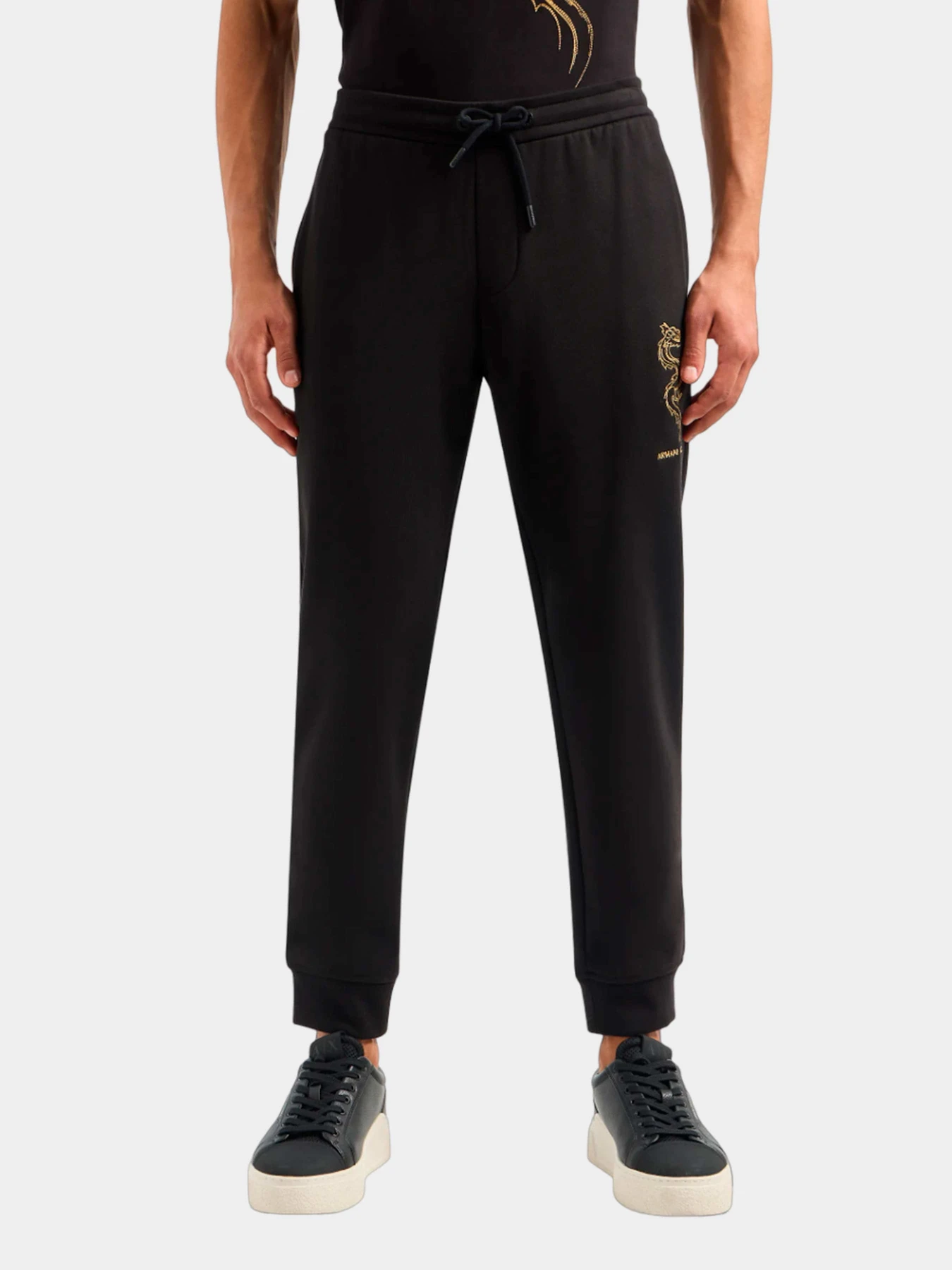 Брюки Armani Exchange модель 3DZPDG-ZJ4XZ-1200 Брюки Armani Exchange модель 3DZPDG-ZJ4XZ-1200 Фото