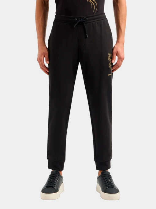 Брюки Armani Exchange модель 3DZPDG-ZJ4XZ-1200 Фото