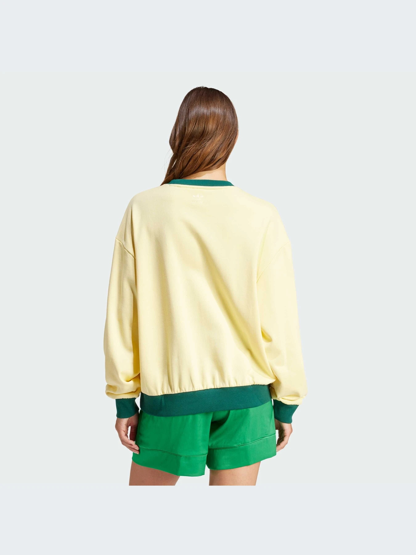 Худи и свитшоты Adidas Graphics модель IT9857-KZ Худи и свитшоты Adidas Graphics модель IT9857-KZ Фото