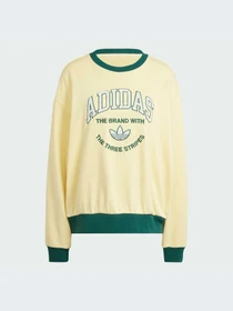 Худи и свитшоты Adidas Graphics модель IT9857-KZ Фото