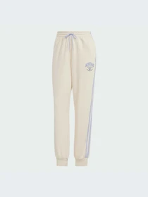 Брюки Adidas Graphics модель IR6041-KZ Фото