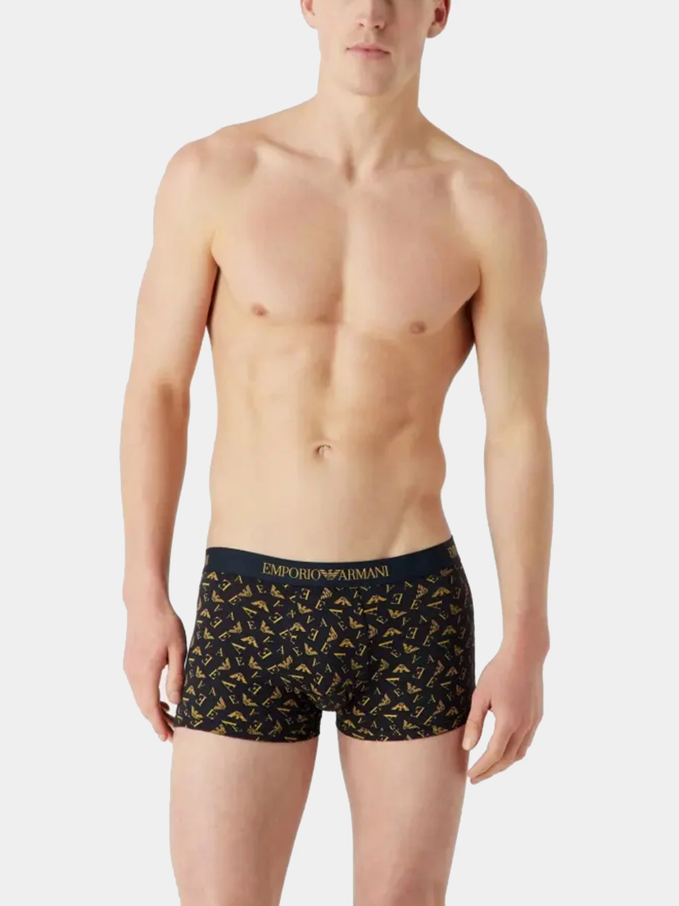 Нижнее белье Emporio Armani модель 111625-3F722-22036 Нижнее белье Emporio Armani модель 111625-3F722-22036 Фото
