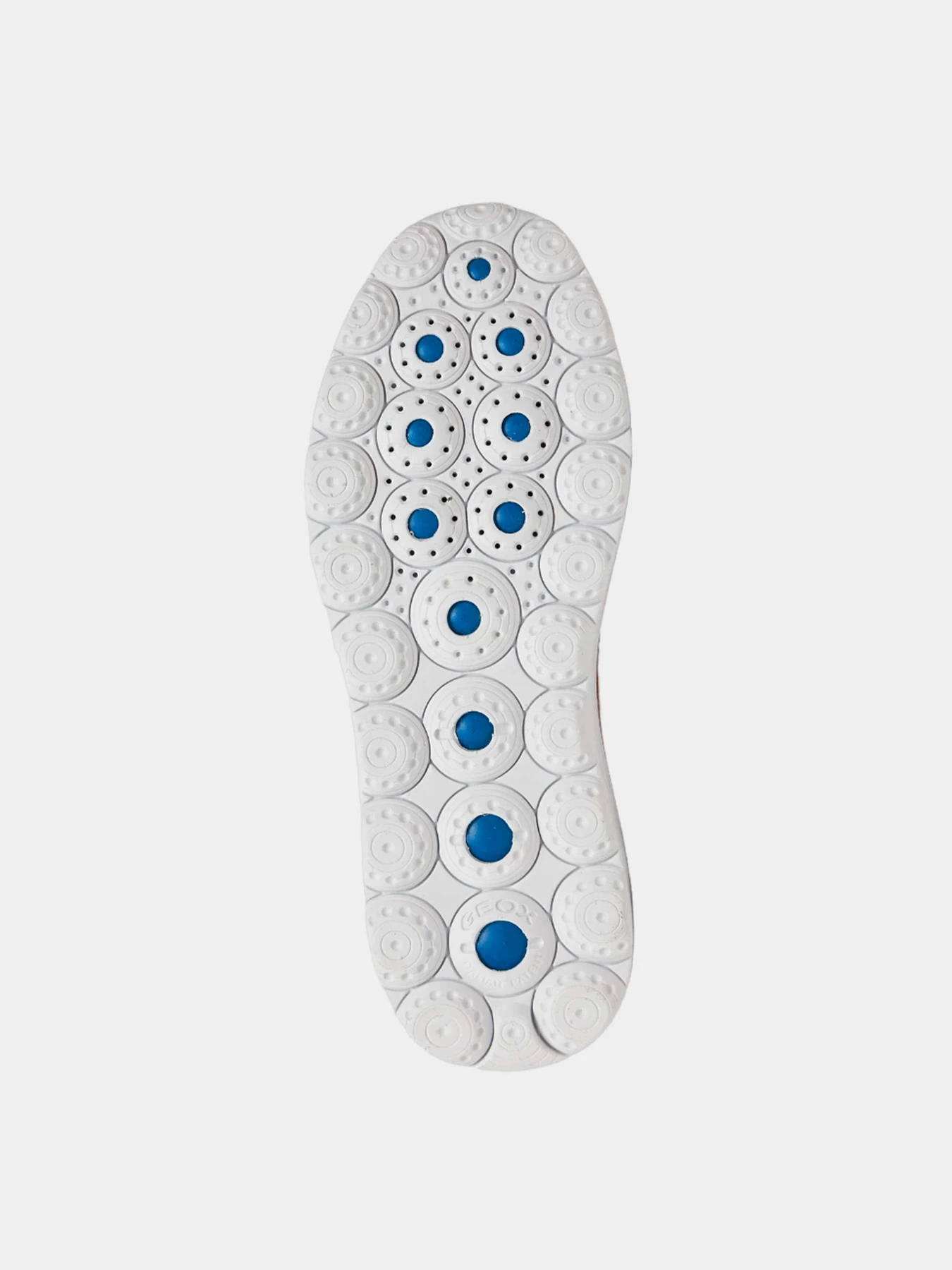 Кроссовки Geox Spherica модель U15BYA-0006K-C2000 Кроссовки Geox Spherica модель U15BYA-0006K-C2000 Фото