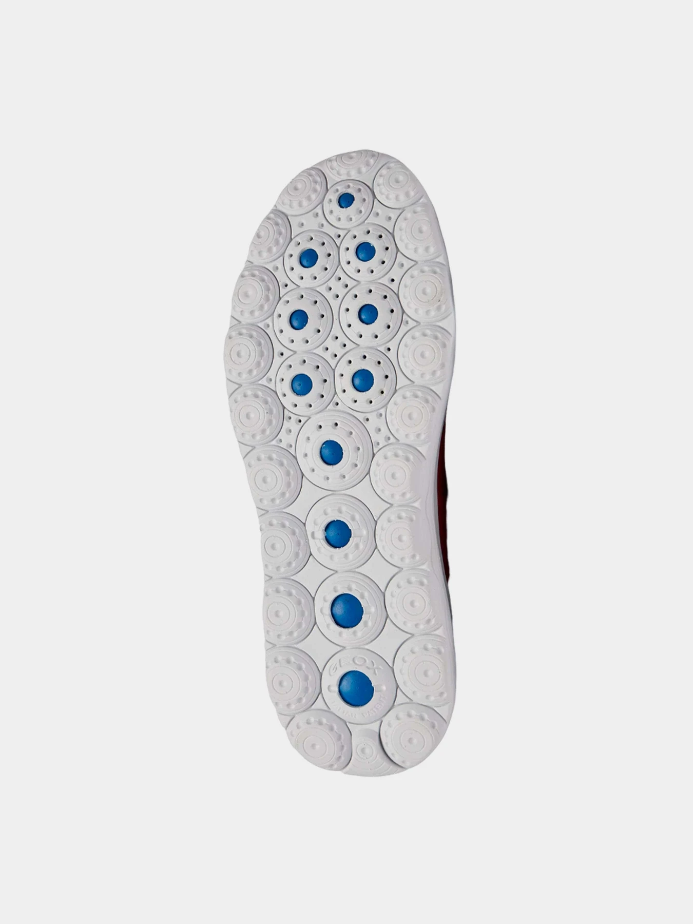 Кроссовки Geox Spherica модель U35BYA-0006K-C4021 Кроссовки Geox Spherica модель U35BYA-0006K-C4021 Фото