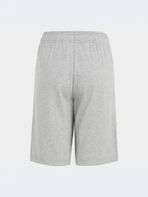 Шорты Adidas модель HY4720-KZ Фото