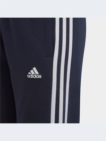 Брюки Adidas модель IC0601-KZ Фото