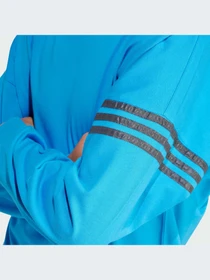 Худи и свитшоты Adidas модель IS2814-KZ Фото