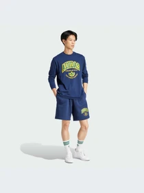 Шорты Adidas Graphics модель IS2930-KZ Фото