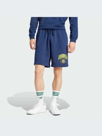 Шорты Adidas Graphics модель IS2930-KZ Фото