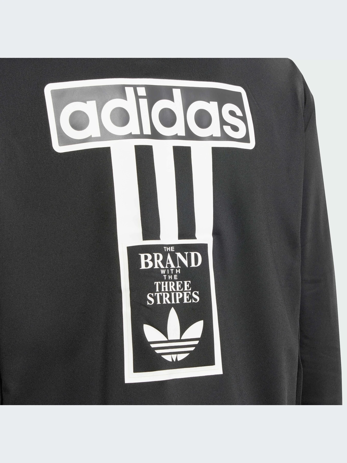 Худи и свитшоты Adidas Adicolor модель IT5466-KZ Худи и свитшоты Adidas Adicolor модель IT5466-KZ Фото