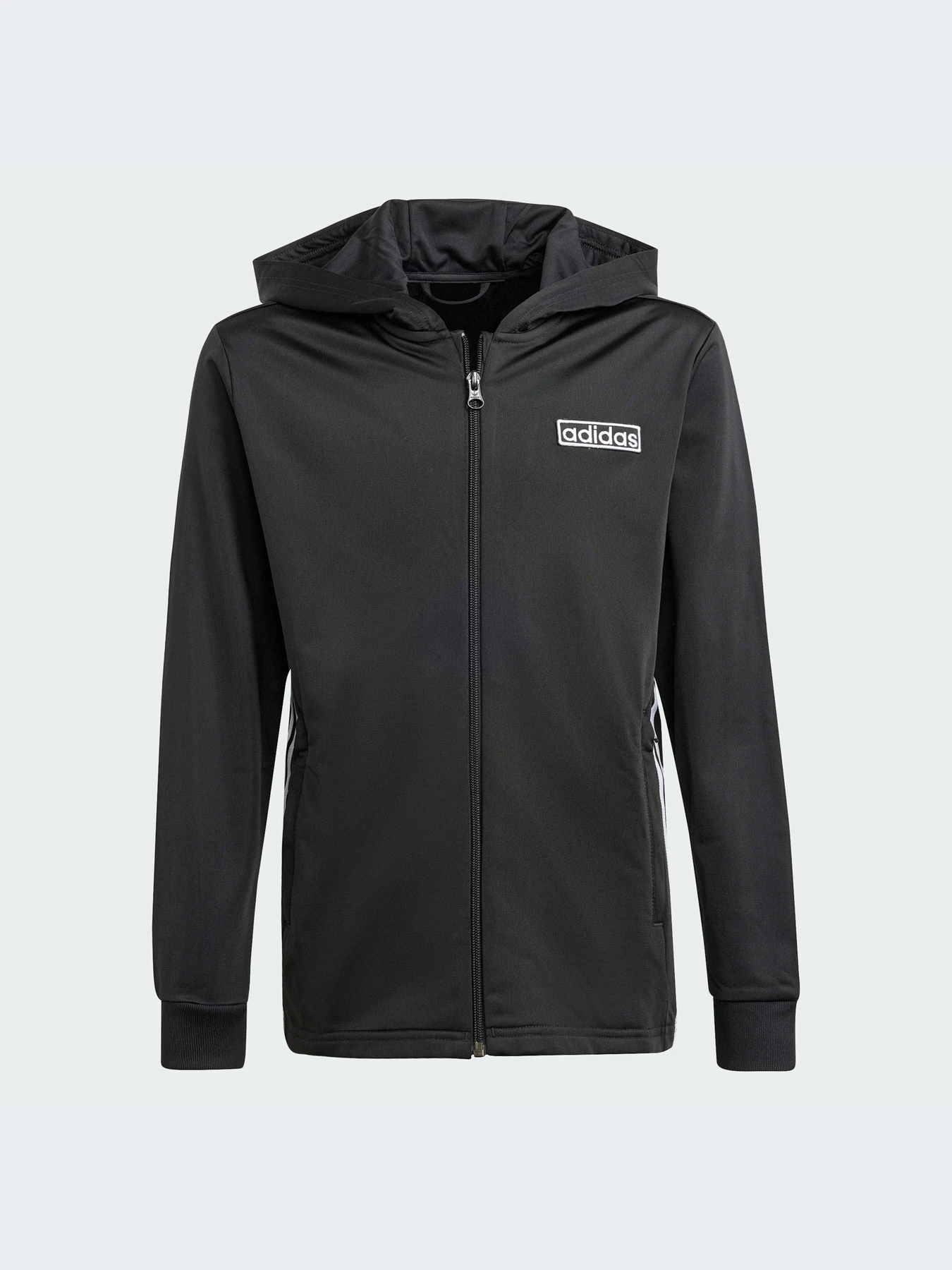 Худи и свитшоты Adidas Adicolor модель IT5466-KZ Худи и свитшоты Adidas Adicolor модель IT5466-KZ Фото