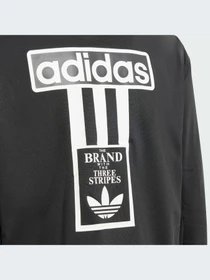 Худи и свитшоты Adidas Adicolor модель IT5466-KZ Фото