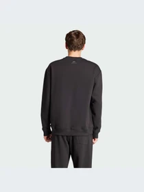 Худи и свитшоты Adidas модель IW1190-KZ Фото