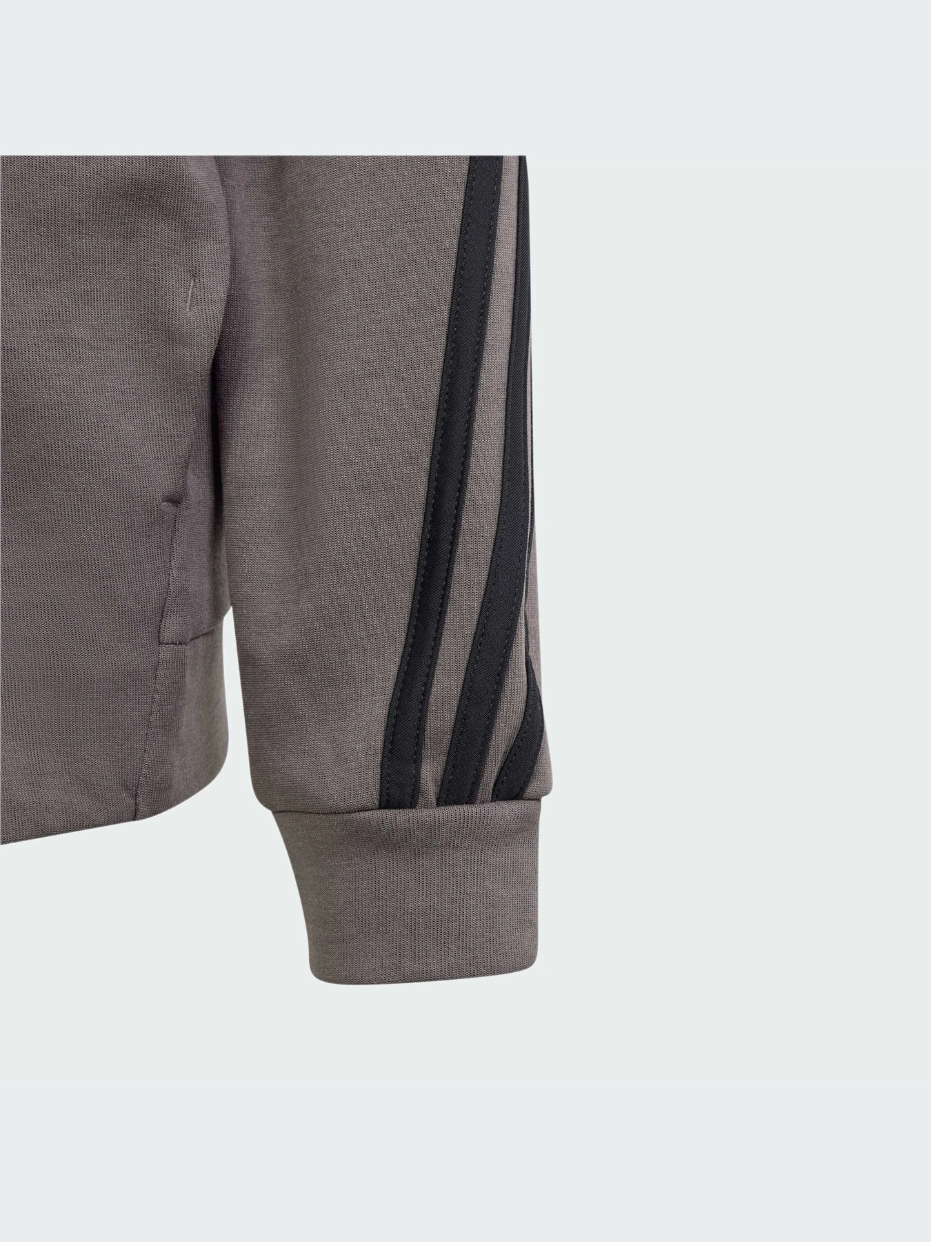 Худи и свитшоты Adidas Icons модель IS4424-KZ Худи и свитшоты Adidas Icons модель IS4424-KZ Фото