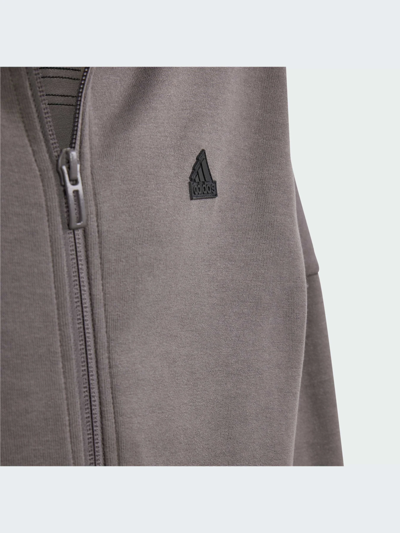 Худи и свитшоты Adidas Icons модель IS4424-KZ Худи и свитшоты Adidas Icons модель IS4424-KZ Фото