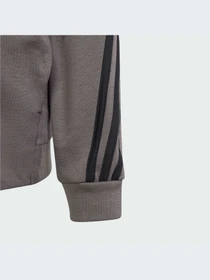 Худи и свитшоты Adidas Icons модель IS4424-KZ Фото