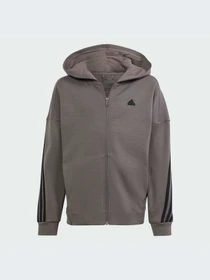 Худи и свитшоты Adidas Icons модель IS4424-KZ Фото