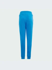 Брюки Adidas Adicolor модель IM9676-KZ Фото