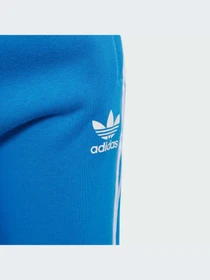 Брюки Adidas Adicolor модель IM9676-KZ Фото