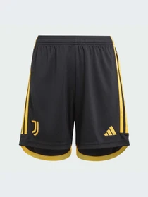 Шорты Adidas модель IB0494-KZ Фото