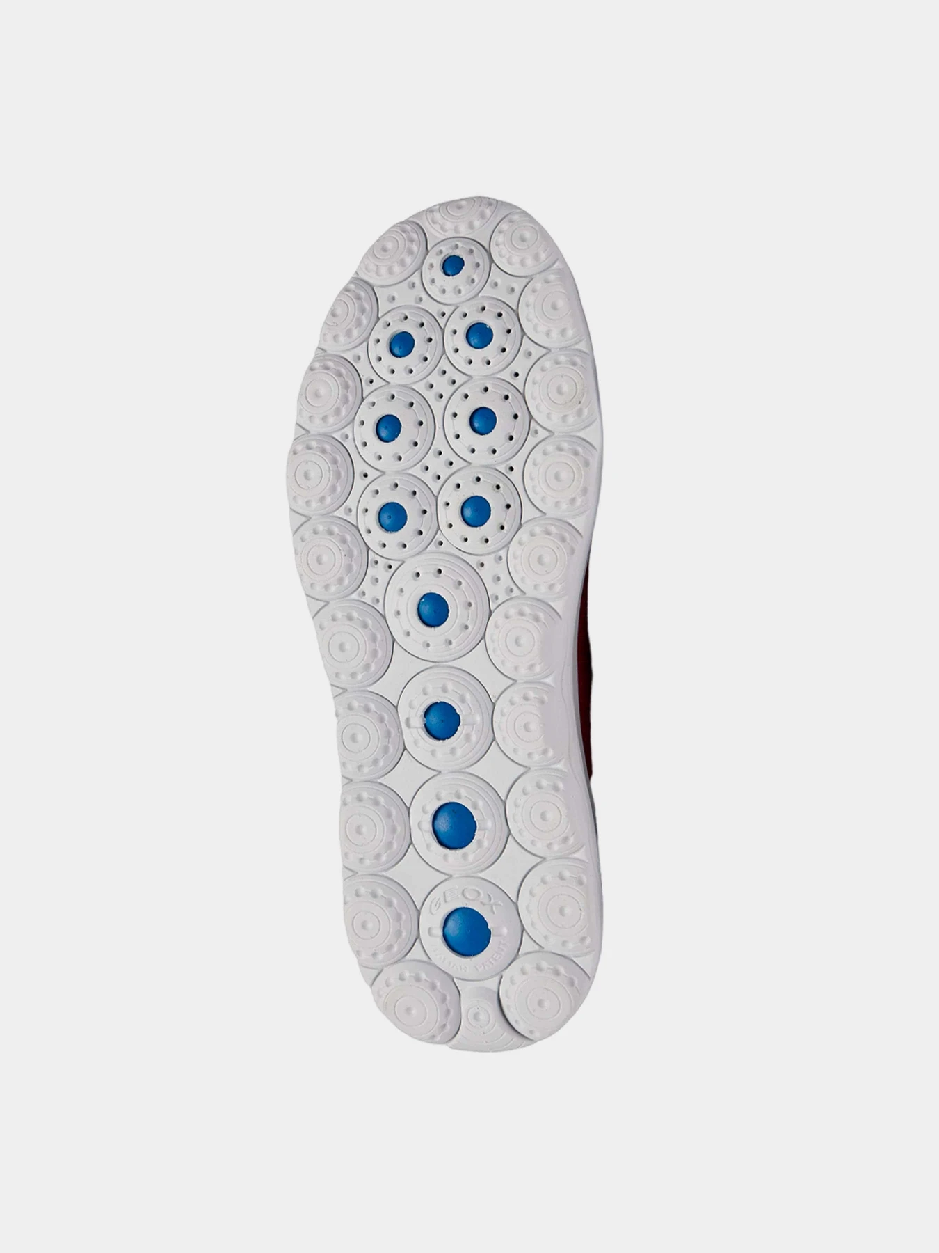 Кроссовки Geox Spherica модель U35BYA-0006K-C1006 Кроссовки Geox Spherica модель U35BYA-0006K-C1006 Фото