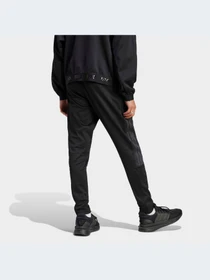 Брюки Adidas Tiro модель IM2899-KZ Фото