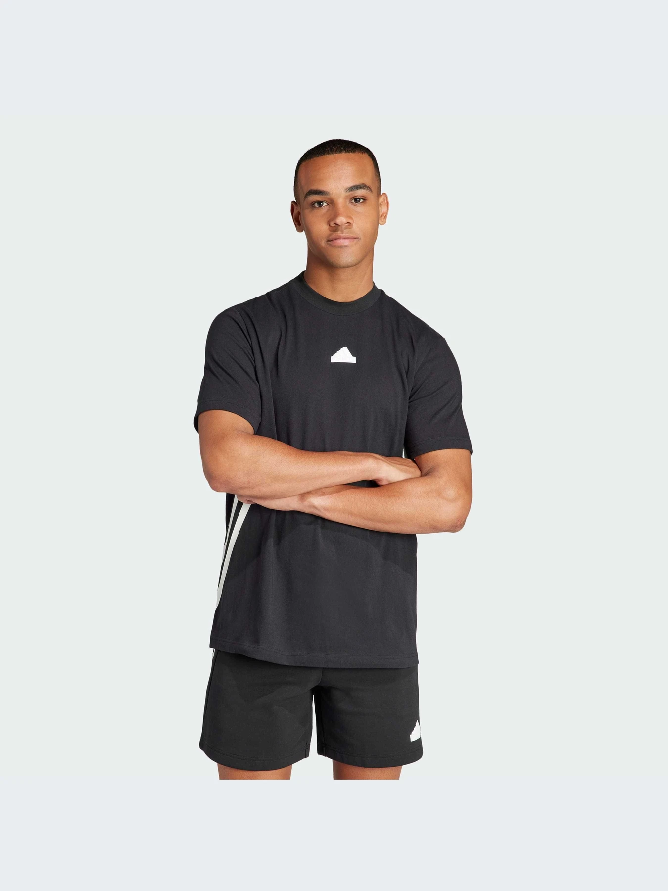Футболки и поло Adidas Icons модель IR9166-KZ Футболки и поло Adidas Icons модель IR9166-KZ Фото