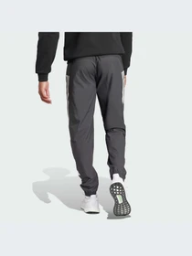 Брюки Adidas Icons модель IN3318-KZ Фото