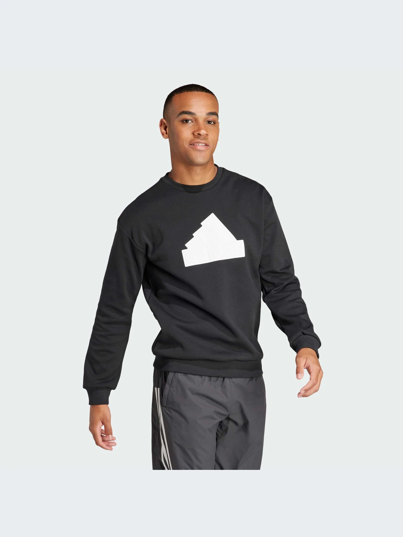 Худи и свитшоты Adidas Icons модель IN3319-KZ Худи и свитшоты Adidas Icons модель IN3319-KZ Фото