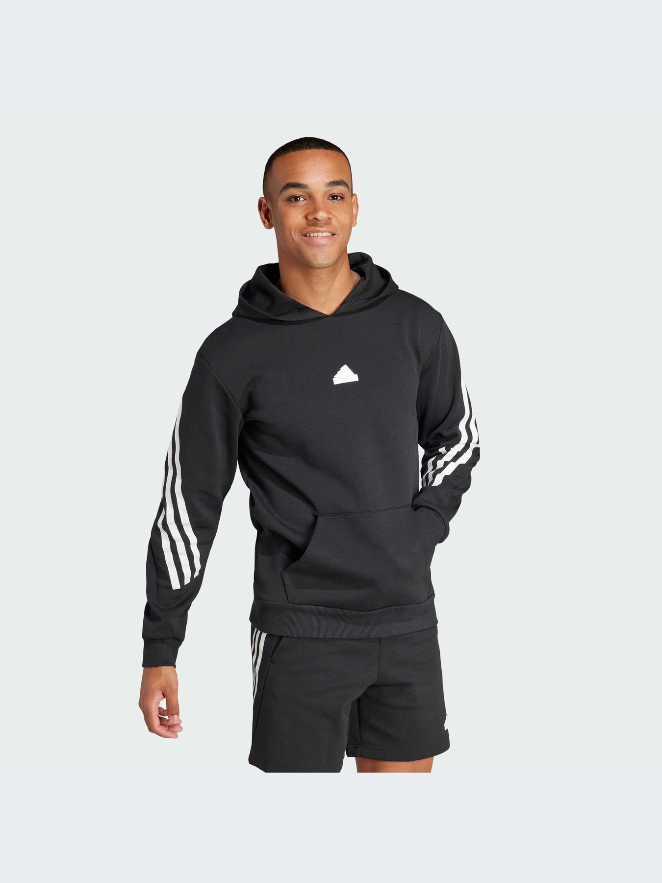 Худи и свитшоты Adidas Icons модель IN1841-KZ Худи и свитшоты Adidas Icons модель IN1841-KZ Фото