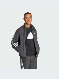 Худи и свитшоты Adidas Icons модель IN3316-KZ Фото
