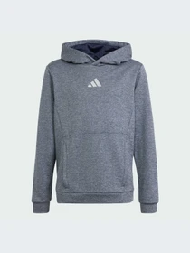 Худи и свитшоты Adidas модель IS1675-KZ Фото