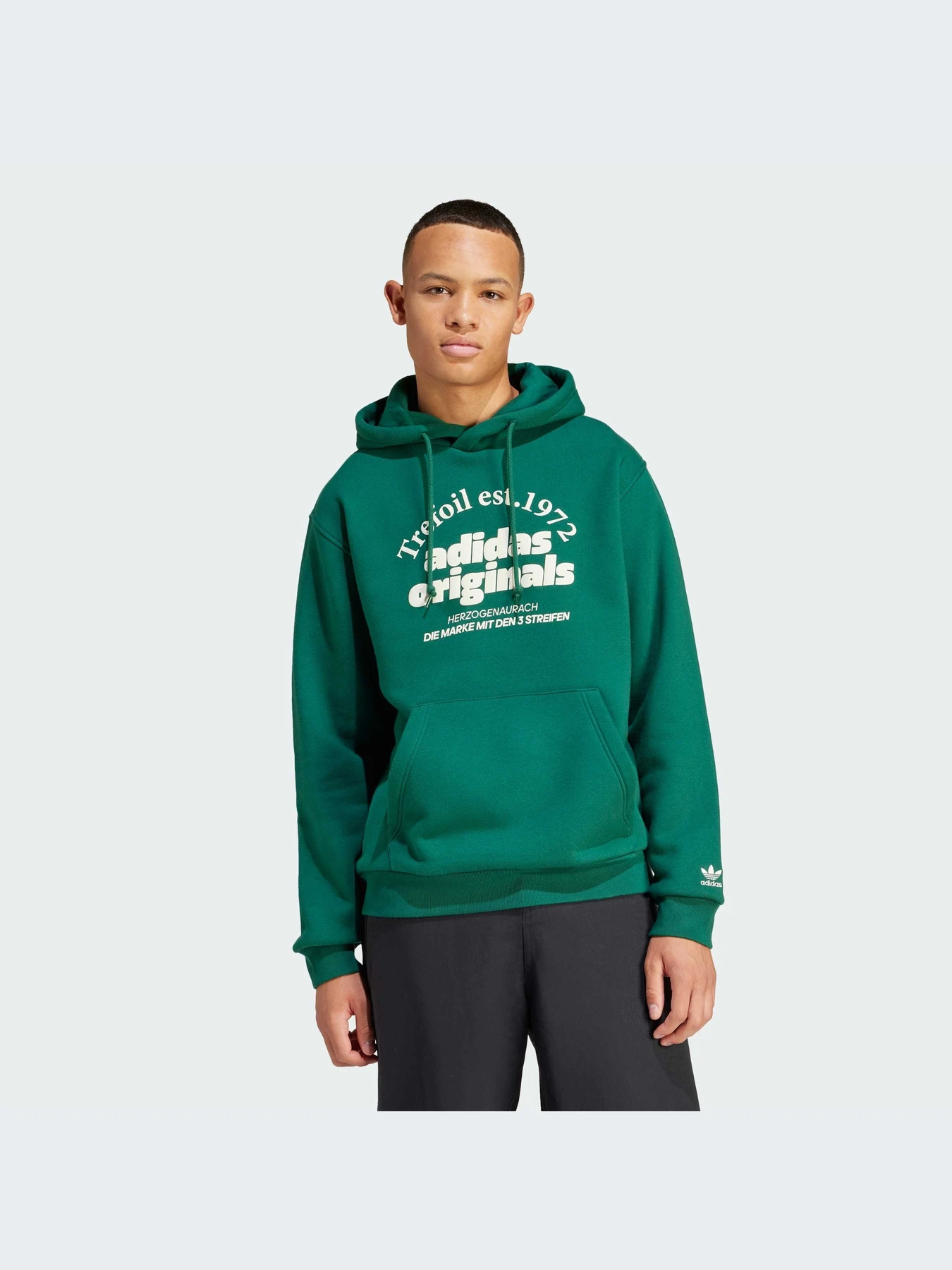 Худи и свитшоты Adidas Graphics модель IS1412-KZ Худи и свитшоты Adidas Graphics модель IS1412-KZ Фото