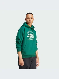 Худи и свитшоты Adidas Graphics модель IS1412-KZ Фото