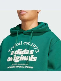 Худи и свитшоты Adidas Graphics модель IS1412-KZ Фото