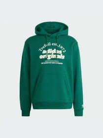 Худи и свитшоты Adidas Graphics модель IS1412-KZ Фото