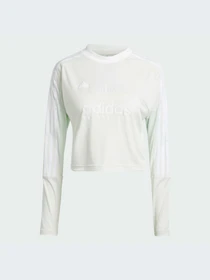 Худи и свитшоты Adidas Tiro модель IS4574-KZ Фото