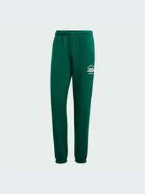 Брюки Adidas модель IT3250-KZ Фото